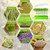 Legigo 8 Pack Seed Sprouter Trays with Lids, Microgreens Growing Trays Kit