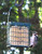 Wildlife Sciences Suet Cake Jumbo Mixed 20 Pack | 10 Apple & 10 Pecan 10.5 oz. Suet Cakes for Wild Birds