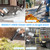 Cordless Leaf Blower, 800,000 RPM, Dual 4.0Ah Batteries and Fast Charger
