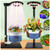 Large Venus Fly Trap Terrarium Pot with Plant Grow Light,Timer&Metal Stand