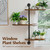 BUTUNITA Rotating Window Plant Shelves 3-Tier, Wooden Window Shelf for Plants, Sill Space-Saving Corner Hanging Wall Stand for Multiple Plants, Indoor Home Decor, Carbonized