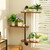 BUTUNITA Rotating Window Plant Shelves 3-Tier, Wooden Window Shelf for Plants, Sill Space-Saving Corner Hanging Wall Stand for Multiple Plants, Indoor Home Decor, Carbonized