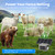 Electric Fence Netting, 42.5" H x 164'L, for Livestock, Cattle, Sheep, Goat