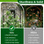 Thealyn 4 Pack 48" x 12.5" Metal Trellis for Potted Plants and Planters
