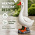 RiKoDaM Large Porch Goose Statue,Resin Front Porch Goose Decor,20In,White