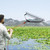 VEVOR 32 in Aquatic Weed Rake, 6.3 in Double Sided Lake Weed Rake, Lightweight Pond Weeds Cutter with 30ft Rope, No Assembly Required, Muck Lilypad Clearing Tool for Pond, Lake, Rivulet