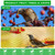 Windyun 1 Pc Bird Netting 50' X 100', 2.4" Mesh Poultry Net for Garden