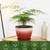 Worth 8 in. Small Plant Pots, Plastic Round 8" Flower Pots Set of 6