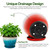 Worth 8 in. Small Plant Pots, Plastic Round 8" Flower Pots Set of 6