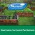 Monterey Nematode Control, 38.4 Fl Oz, with Garden Spoon