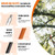 Buyplus 26FT Reach Pole Saws for Tree Trimming, Pole Saw with 5-20FT Telescoping Extension Pole, Pruning Saw with 24" 3X Detachable Saw, Non-Slip Handle, Tree Trimmer for Garden Yard Palms Shrubs
