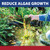 The Pond Guy InstaFix Algae Control Liquid Algaecide, 1 Gallon
