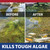The Pond Guy InstaFix Algae Control Liquid Algaecide, 1 Gallon