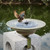 Solar Bird Bath,Deck Bird Bath with Solar Fountain,Deck Mounted Bird Bath
