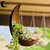 Hanging Moon Planter - Moms Day Gift - Moon Room Decor - Unique Planters for Succulents & Air Plants - Plant Lover Gifts - Boho & Hippie Style