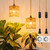 sooogd 2 Pack Hanging Grow Lights for Indoor Plants, Plant Light 24H Timer