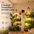 sooogd 2 Pack Hanging Grow Lights for Indoor Plants, Plant Light 24H Timer
