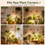 sooogd 2 Pack Hanging Grow Lights for Indoor Plants, Plant Light 24H Timer