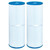 Chryseos Spa Filter Compatible with C-4950, Guardian 413-212-02, 817-5000, R173434, FC-2390, Aladdin 15002, 3FIL1600, 2 Pack