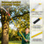 7.3-27FT Extendable Pole Saw with Scissors, Lightweight 8 Section Fiberglass Pole, Sharp High Carbon Steel Double-Hook Saw, Manual Tree Trimmer for High Branch Trimming,Lawn and Garden