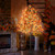 6FT 130 LED Lighted Maple Tree - Thanksgiving Decor Artificial Fall Tree with 13 Branches, 13 Acorns 260 Leaves, Remote 8 Flashing Modes, Timing, DC 5V Safe for Outdoor Wedding Party Autumn Decor