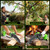 4in1 Electric Pole Saws Tree Trimming 6&8" Chainsaw with Extension Pole