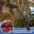 Buzzlett Upgraded Universal Gutter Cleaning Tools for Leaf Blowers
