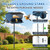 Metal Squirrel Proof Bird Feeder with Pole Set, 7 LB Capacity