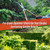 SUIZAN Hedge Shears 22.6" - Japanese Garden Clippers for Precise Trimming