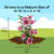 Proven Winners 2 Gal. Red Pillar Rose of Sharon (Hibiscus) Shrub