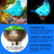 Garden Solar Lights,Solar Garden Stake Lights - Hand Blown Glass Decorative Garden Pathway Lights Outdoor Waterproof Sky Blue Bird Glass Stakes