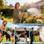 garden hose 100 FT, non-extendable and ultra-lightweight, equipped with 10-function nozzle. Kink-free, sturdy, flexible, and wear-resistant, suitable for use in yards, lawns, outdoors (100 FT)