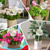 17 oz Up 2 Weeks Extra Large Plant Watering Globes, Self Watering Planter Insert Iridescent Self Watering Globes, Vacation Plant Watering Devices-Watering Bulbs for Outdoor Plants (Extra Large 4-Pack)