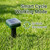 Peepst Solar Powered Mole Repeller Gopher Deterrent Outdoor Groundhog Repellent Ultrasonic Snake Armadillo Repeller Waterproof Effective for Yard Lawn Garden (8, Jade)