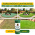 Petramax ReadyRoll Biodegradable Kentucky Grass Seed Mat for Southern Lawn (108 ft.) 3-in-1 Grass Seed Rolls w/Mulch & Fertilizer - Perennial Rye, Tall Fescue Blend - Heat Tolerant Lawn Repair Patch