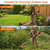 Gas Weed Eater 52cc Weed Wacker Gas Powered Brush Cutter and String Trimmer