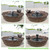 Solar Bird Bath Fountain,Sunflower with Resting Bird,Solar Powered with 3 Nozzles,Outdoor Garden Bird Bath,Solar Water Fountain for Bird Bath,Hummingbird Bird Bath for Outdoor