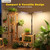 Sonamindary LED Grow Lights for Indoor Plants, Tripod Stand, Dual Head