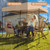JOSIVIKY 10x10 Canopy Replacement Top, Pop Up Canopy Tent Replacement Cover(Top Only), 300D Oxford UV Waterproof for Outdoor Garden, Picnic, Camping (Khaki)
