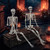 5.9ft Halloween Life Size Skeleton Realistic Full Body Skeletons Plastic Human Bones with Movable Joints for Halloween Props Spooky Party Decoration