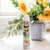 Raid Ant and Roach Killer, Aerosol Spray with Essential Oils (3)