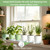 10 Indoor Herb Garden Kit, 54pcs Complete Kitchen Herb Starter Set Including 2-Color Self Watering Pots, Soil & Tools, Unique Gift Ideas for Plant Lovers, Women, Men, Friend, Birthday, Housewarming