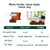 10 Indoor Herb Garden Kit, 54pcs Complete Kitchen Herb Starter Set Including 2-Color Self Watering Pots, Soil & Tools, Unique Gift Ideas for Plant Lovers, Women, Men, Friend, Birthday, Housewarming