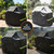 Grill Cover - 55 Inch Heavy Duty BBQ Grill Cover for Outdoor Grill, Waterproof, UV, Fade & Tear Resistant, Gas Grill Cover for Weber Charbroil Genesis Nexgrill and More