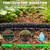 MIXC Drip Irrigation System with 100FT 1/4" Soaker Hose