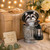 Solar Raccoon in Trash Can Garden Statue with Lantern, Whimsical Decor