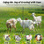 Decofy Electric Fence Netting 42.5" x 164" Portable Electric Netting Fence PE Electric Netting with 14 Posts Double Spiked for Sheep, Goats, Lambs, Deers in Yard, Farms and Ranches Animals Protection