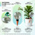 4 Pack 26 oz Extra Large Plant Self Watering Globes to 3 Weeks Watering