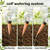 4 Pack 26 oz Extra Large Plant Self Watering Globes to 3 Weeks Watering