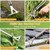 EOMEOH Crack Weeder, 3-in-1 Stainless Steel Weeding Tool with 60" Long Handle - Stand Up Weeder for Driveway, Sidewalk & Deck Crevices - No Bending, Tool-Free Assembly